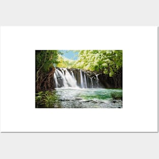 Kipu Falls Posters and Art